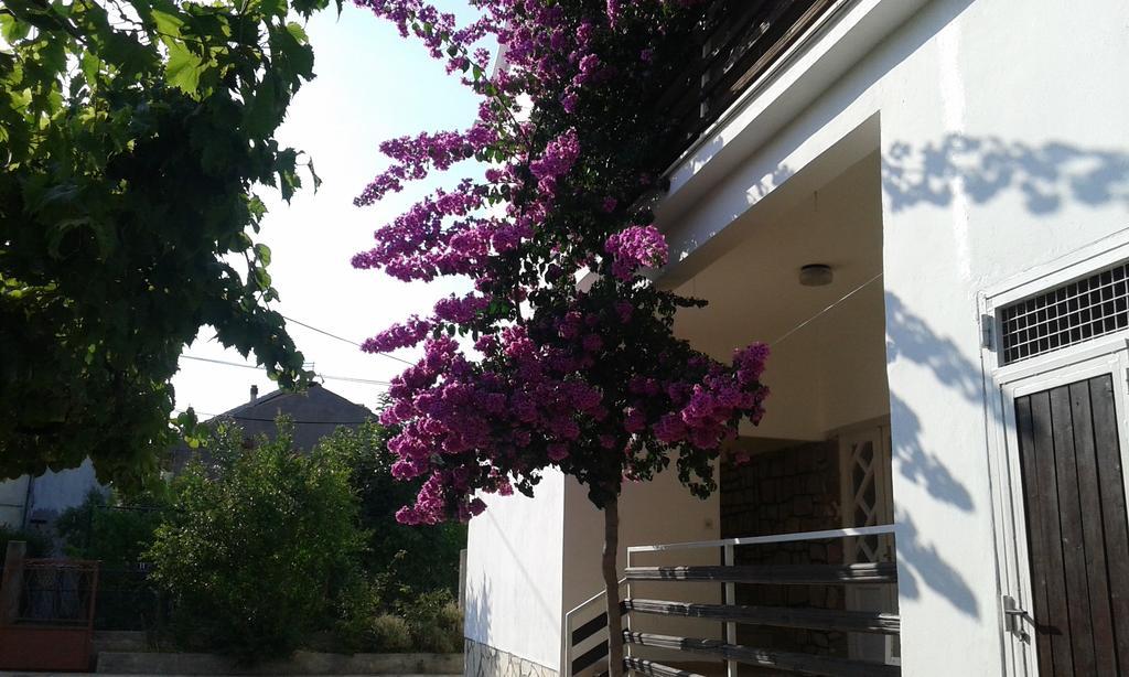 Apartment Anna Zadar Buitenkant foto